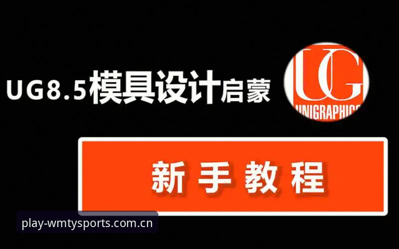 完美体育礼遇教程：从新手到老用户的完整使用指南